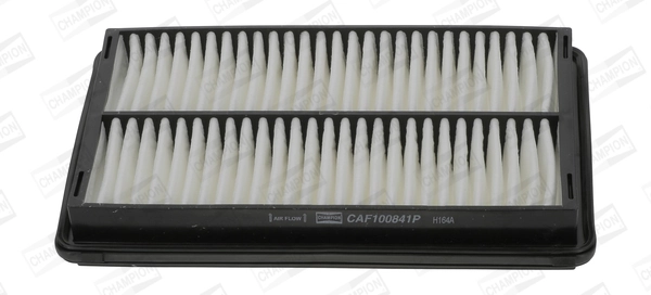 CAF100841P Champion