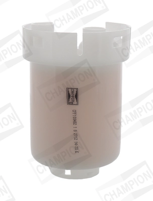 CFF100482 Champion
