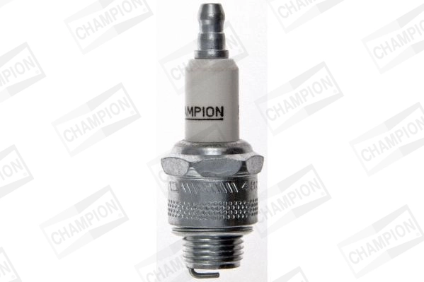 Compre RJ19LM Champion Vela de ignição