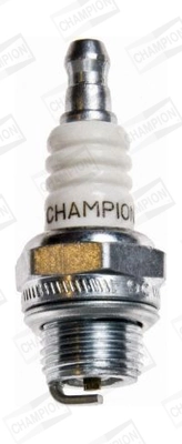 CJ6T10 Champion
