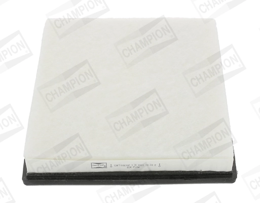 CAF100875P Champion