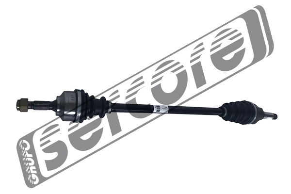 22461 Sercore