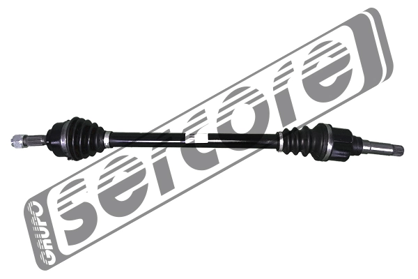 22473 Sercore