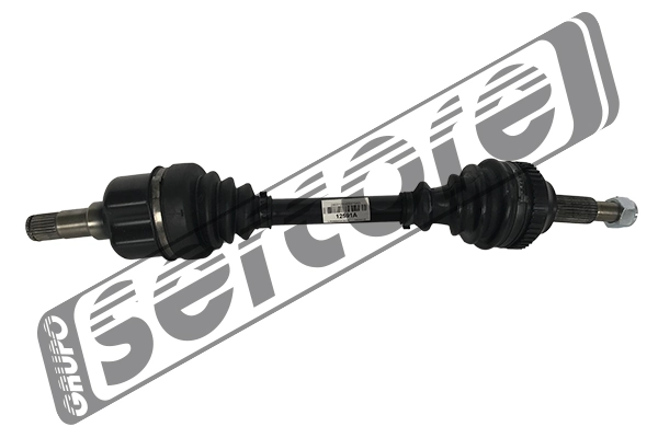 22591A Sercore