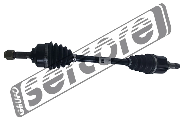 22460 Sercore