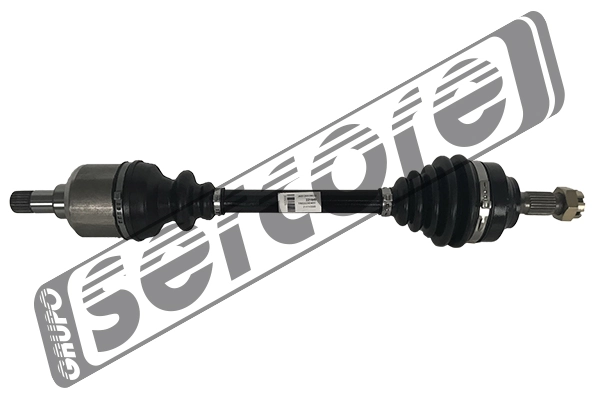 221643 Sercore