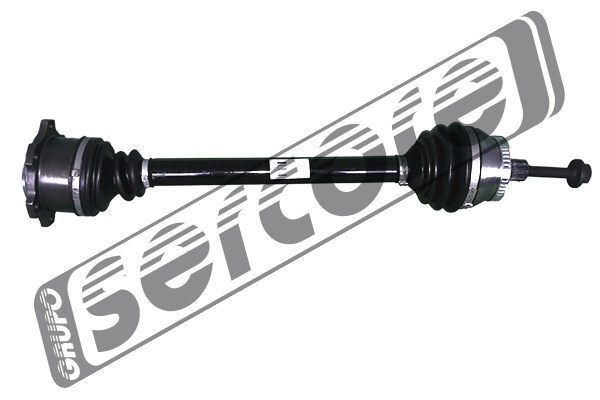 22376 Sercore