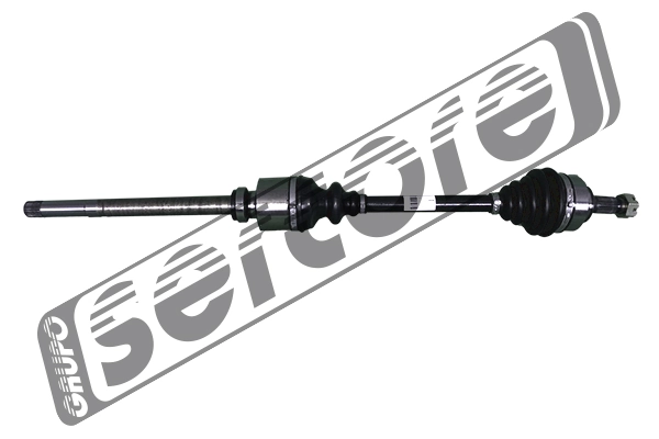 22406 Sercore