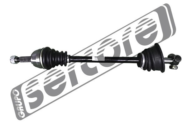 22782 Sercore