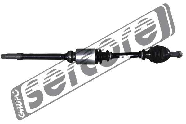 22705 Sercore