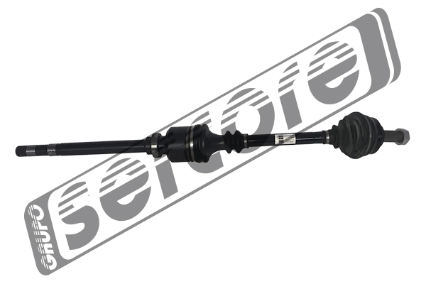 22453 Sercore