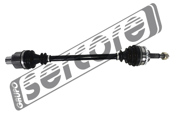 22795 Sercore