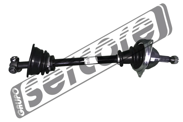 22794 Sercore