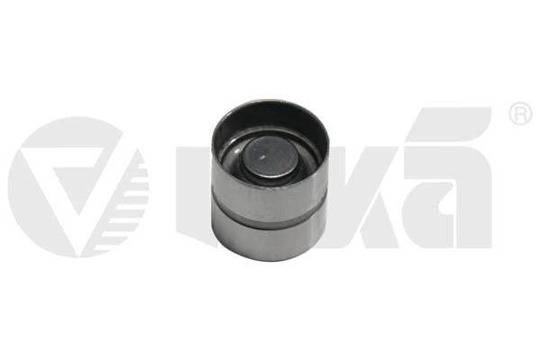 11090224501 Vika