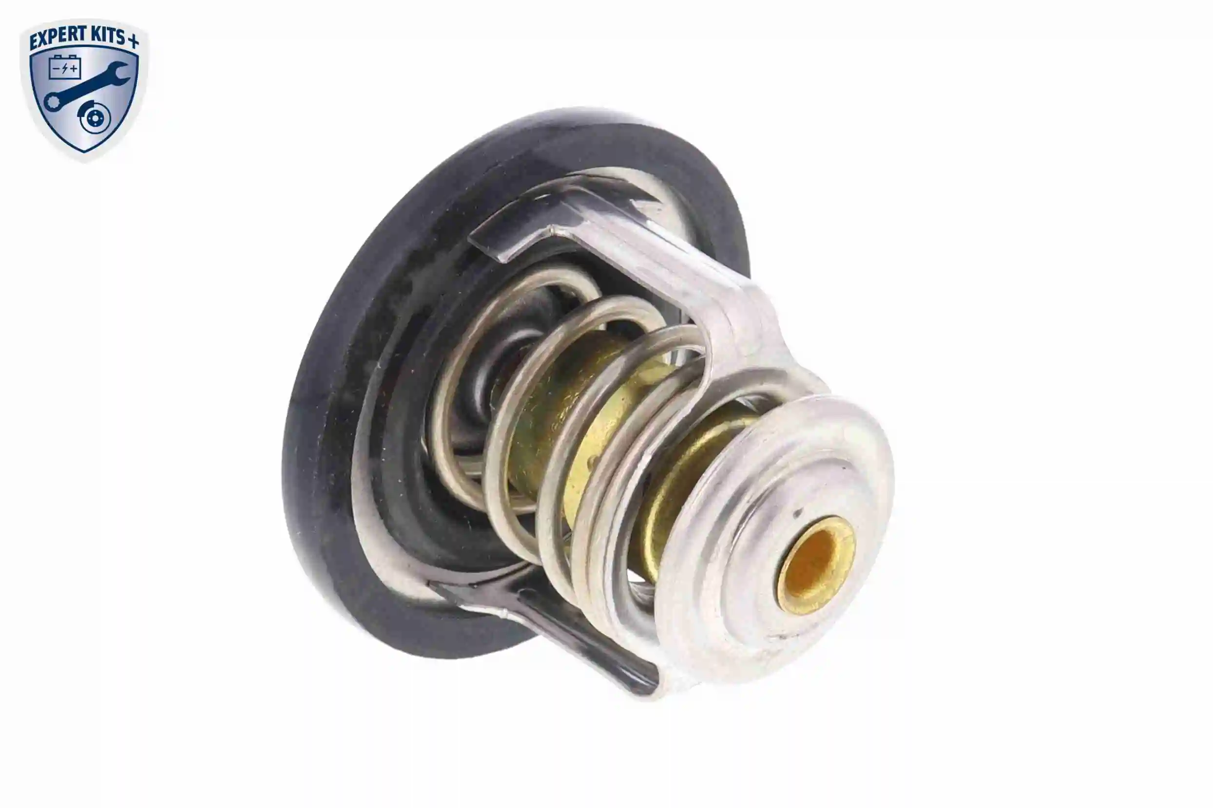 A55990001 Ackojap Termostato