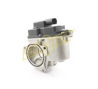 Compre 55556720 Peugeot/Citroen Válvula EGR de recirculação dos gases