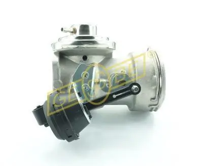 Válvula EGR de recirculação dos gases General Motors 1675871480