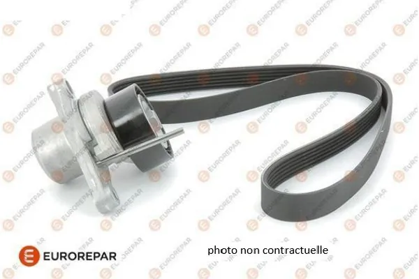 3556426 Peugeot/Citroen Correia dos conjuntos de transmissão, kit