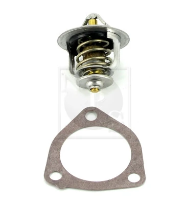 Compre Termostato Renault Koleos 