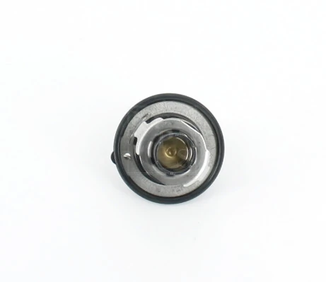 M153A28 NPS Termostato