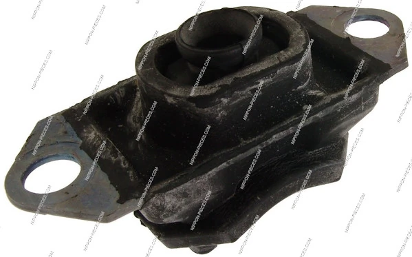 N401N11 NPS