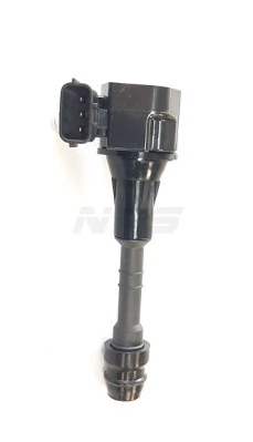N536N20 NPS