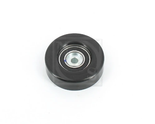 S110I09 NPS