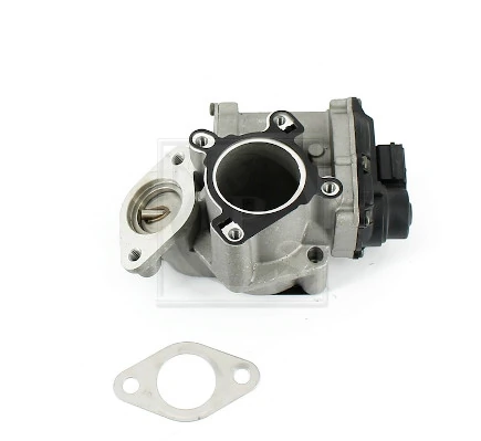 Compre Válvula EGR de recirculação dos gases Nissan X-Trail 