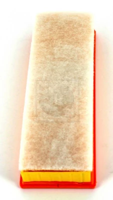 Filtro de ar RF1422FWB Goodrem
