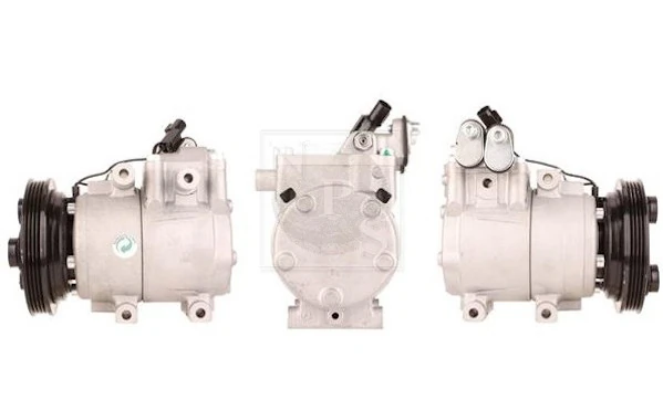 H525I21 NPS