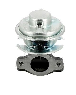 Válvula EGR de recirculação dos gases para Hyundai Terracan  HP