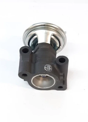 Válvula EGR de recirculação dos gases para Hyundai Galloper  JK