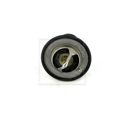 Compre TE0053 Magneti Marelli Termostato