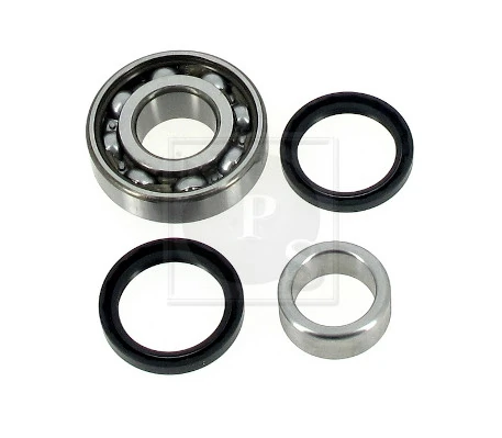 S471I18 NPS Rolamento de cubo traseiro