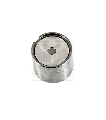 T925A54 NPS