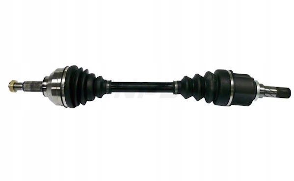 T280L02 NPS