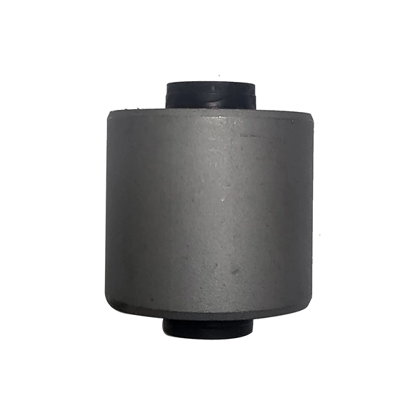 GV0660 CTR Bloco silencioso do braço oscilante inferior traseiro longitudinal