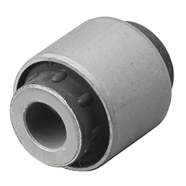 GV0249 CTR Bloco silencioso traseiro de braço oscilante transversal
