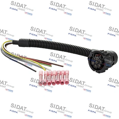 405124 Fispa