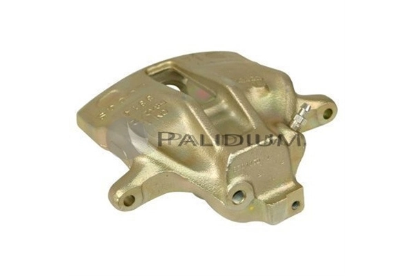 PAL41095 Ashuki