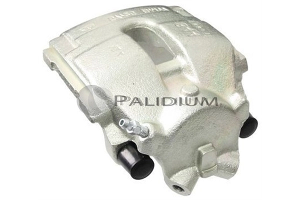 PAL41132 Ashuki