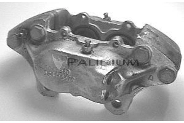 PAL41950 Ashuki