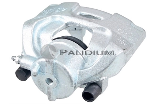 PAL41794 Ashuki