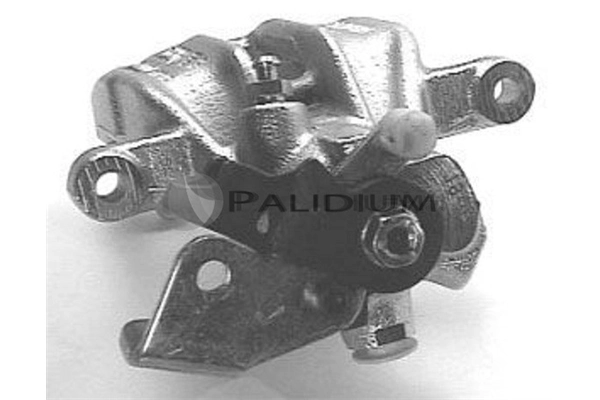 PAL42003 Ashuki