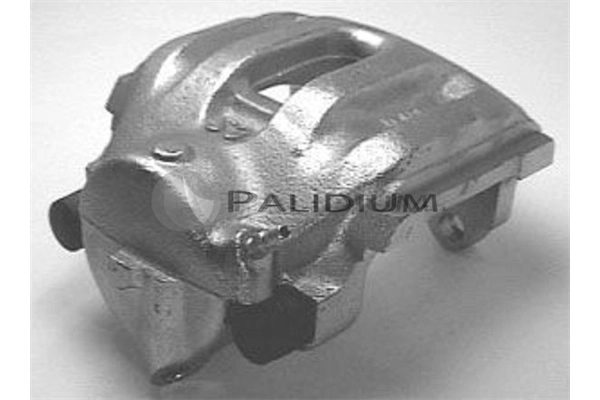 PAL41710 Ashuki