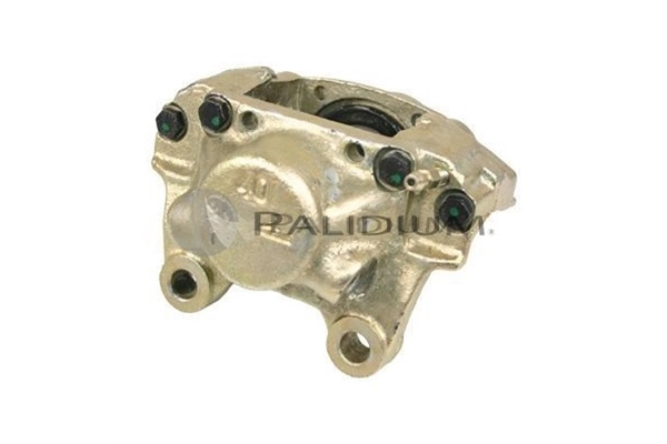 PAL41513 Ashuki