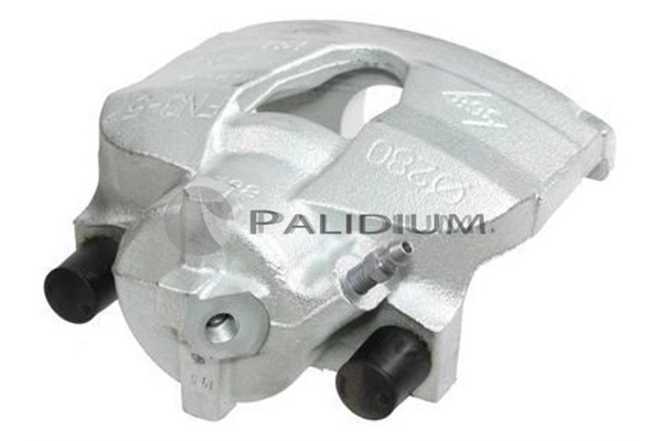 PAL41403 Ashuki