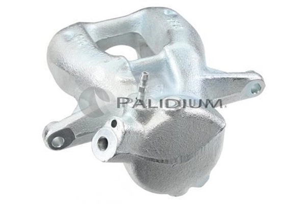 PAL42047 Ashuki