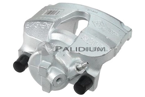 PAL41367 Ashuki