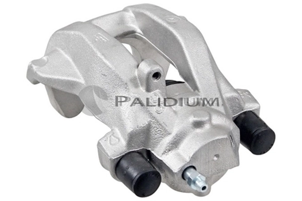PAL41857 Ashuki